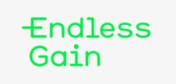 The text says "Endless Gain".